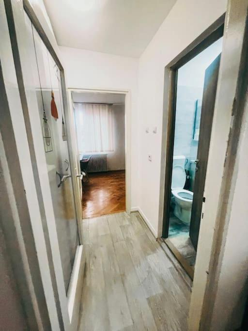 Ultracentral Big Flat Near The Opera Square P17 Timisoara Exterior foto