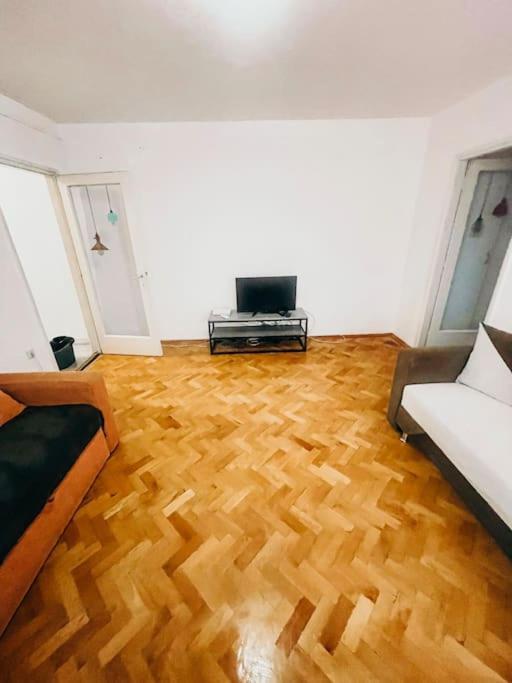 Ultracentral Big Flat Near The Opera Square P17 Timisoara Exterior foto