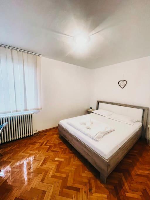 Ultracentral Big Flat Near The Opera Square P17 Timisoara Exterior foto