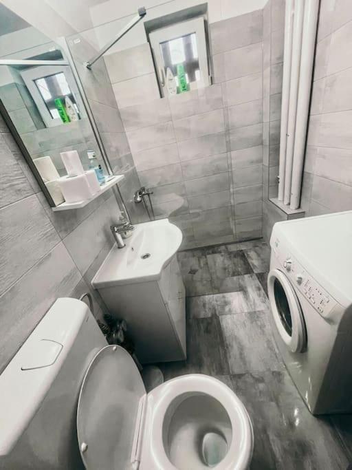 Ultracentral Big Flat Near The Opera Square P17 Timisoara Exterior foto